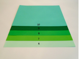 Barevný karton 160gsm - A4 - Zelená