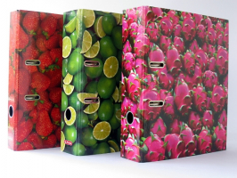 Herlitz  Pořadač pákový Herlitz A4 - Pořadač - Limetky