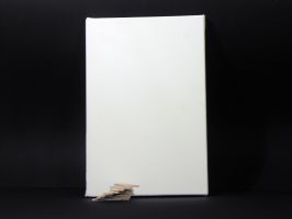 Obdélníkové plátno Bouno - velké rozměry - Plátno 50x70x1,8cm